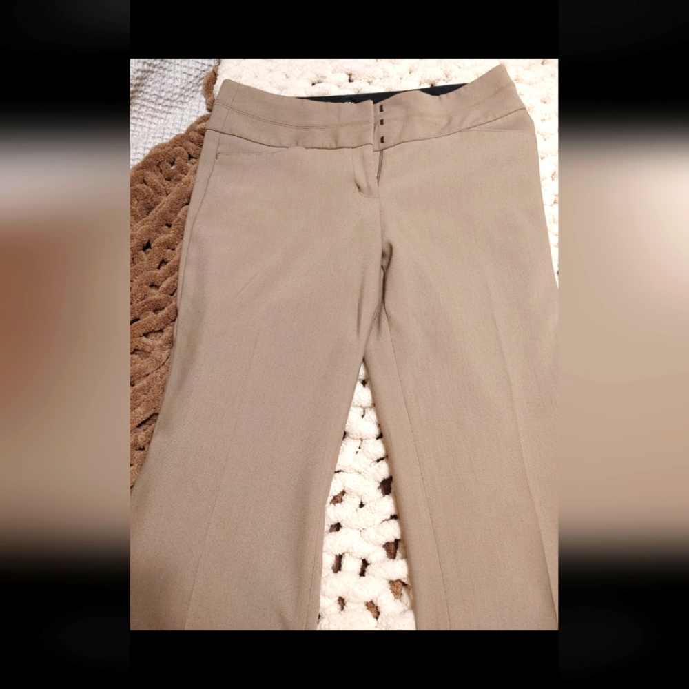 Express editor dress pant